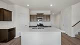 4117 Olivia Lane - Photo 23