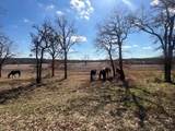 1705 County Road 122 - Photo 21