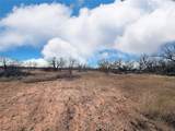 15820 County Road 511 - Photo 34