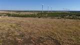 TBD 40+/- Acres Cr 232 - Photo 15