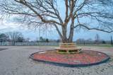 550 County Road 297 - Photo 20