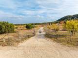 Buffalo4 Ranch County Road 290 - Photo 7