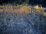 Lot 26 County Road 26050 - Photo 10