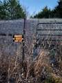 Lot 26 County Road 26050 - Photo 11