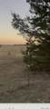 Lot 26 County Road 26050 - Photo 13