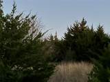 Lot 26 County Road 26050 - Photo 8