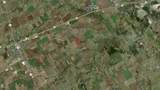 Lot 7 Cotton Belt - Photo 11