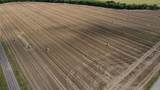 Lot 7 Cotton Belt - Photo 4