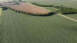 Lot 11 Cotton Belt - Photo 6