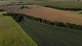 Lot 11 Cotton Belt - Photo 7