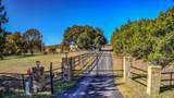 2061 County Road 302 - Photo 3