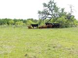6500 Fm 586 - Photo 34