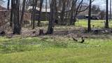 101 Dalewood Street - Photo 4