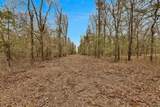 TBD Co Rd 343 - Photo 5