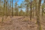 TBD Co Rd 343 - Photo 6