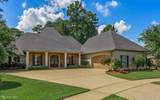 1010 Toledano Circle - Photo 2