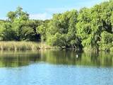 4109 County Road 405 - Photo 31