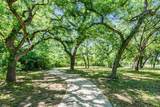 1013 Birkdale Drive - Photo 4