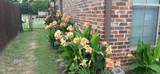 201 Ixworth Avenue - Photo 22