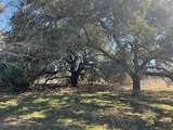 6164 County Road 264 - Photo 10