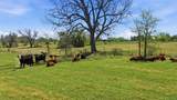 3601 Springfield Road - Photo 37