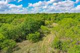 240 Acres Middlebrooks Lane - Photo 10