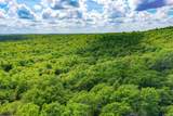 240 Acres Middlebrooks Lane - Photo 11