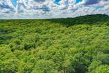 240 Acres Middlebrooks Lane - Photo 16