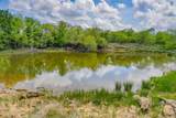 240 Acres Middlebrooks Lane - Photo 31