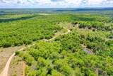 240 Acres Middlebrooks Lane - Photo 6