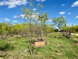 258 County Road 206 - Photo 33
