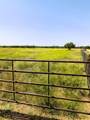 13656 County Road 238 - Photo 40
