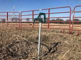 9061 Crow Wright Road - Photo 4