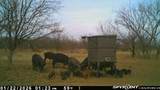 3574 180 - Photo 23