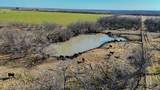 454 County Road 196 - Photo 3
