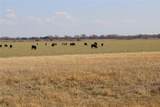 965 Cr 415 - Photo 11