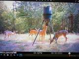 250 County Road 45700 - Photo 22