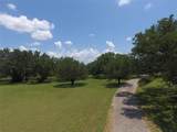 981 Hwy 84 - Photo 10