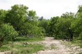 981 Hwy 84 - Photo 11