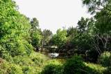 981 Hwy 84 - Photo 17