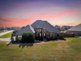 1201 Bluff Springs Drive - Photo 1