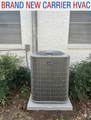 4318 Pineridge Drive - Photo 4