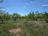 1709 County Road 330 - Photo 29