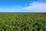 TBD Kimbrough Road - Photo 13