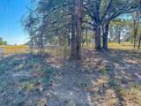 Lot 1 Bordeaux Lane - Photo 18