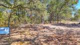 Lot 15 Bordeaux Lane - Photo 13