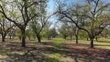 000 Pecan Lane - Photo 1