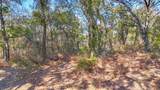Lot 14 Bordeaux Lane - Photo 12