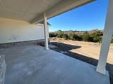 429 Texas Sage Trail - Photo 11