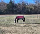 254 Jackson Road - Photo 7